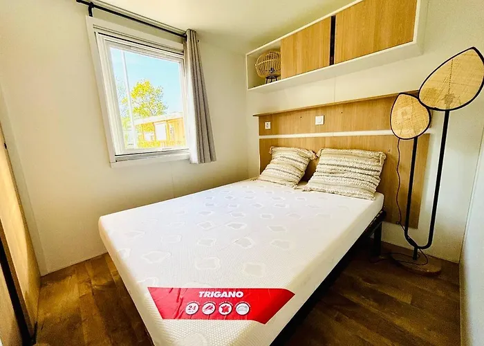 Le Nid Des Viviers - Au Bord De L'eau 캠프장